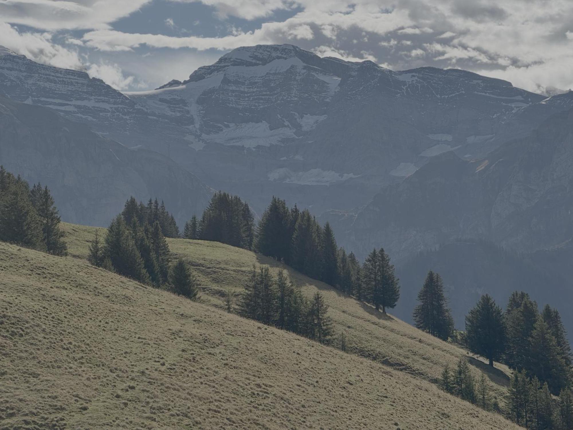Hotel Le Chaudron Ski In Ski Out Champery Room photo